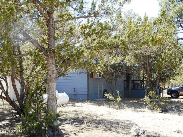 3314 Oxbow Bend Overgaard, AZ 85933 - Photo 13 of 40