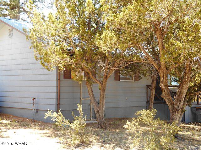 3314 Oxbow Bend Overgaard, AZ 85933 - Photo 14 of 40