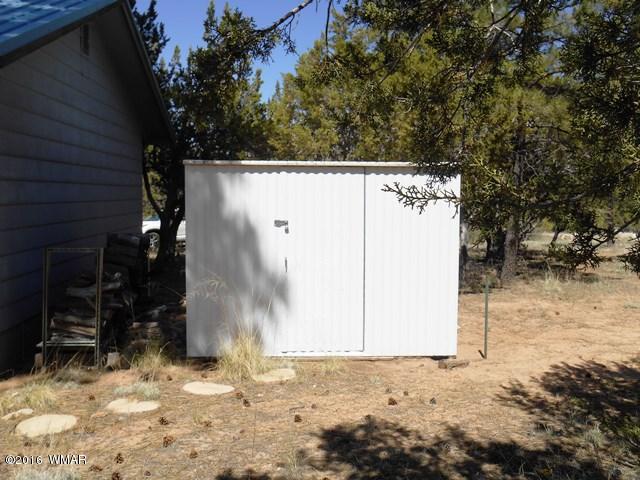 3314 Oxbow Bend Overgaard, AZ 85933 - Photo 16 of 40