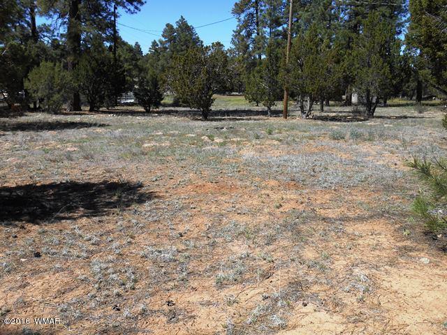 3314 Oxbow Bend Overgaard, AZ 85933 - Photo 19 of 40