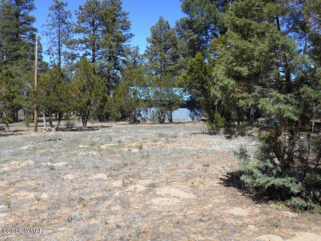 3314 Oxbow Bend Overgaard, AZ 85933 - Photo 20 of 40