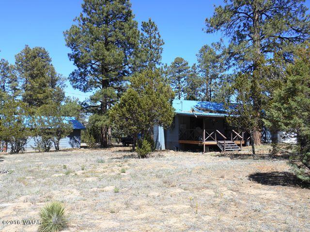 3314 Oxbow Bend Overgaard, AZ 85933 - Photo 21 of 40