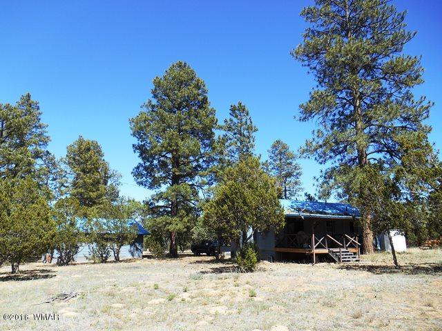 3314 Oxbow Bend Overgaard, AZ 85933 - Photo 22 of 40