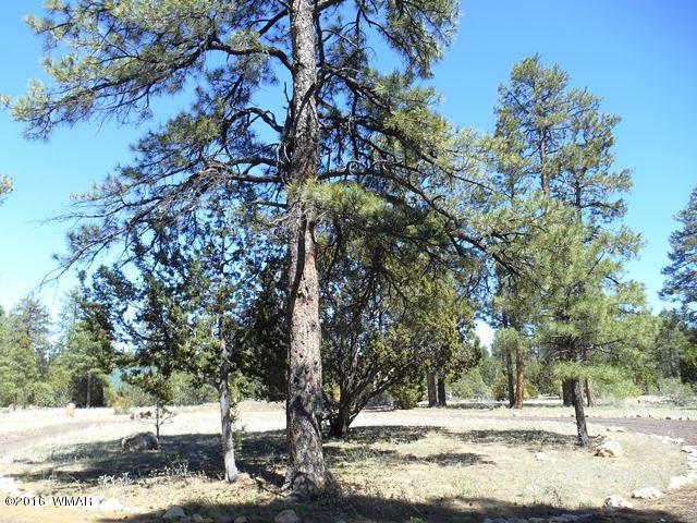 3314 Oxbow Bend Overgaard, AZ 85933 - Photo 23 of 40