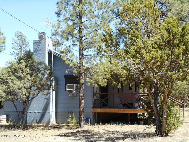 3314 Oxbow Bend Overgaard, AZ 85933 - Photo 3 of 40