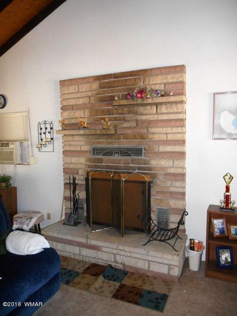 3314 Oxbow Bend Overgaard, AZ 85933 - Photo 4 of 40