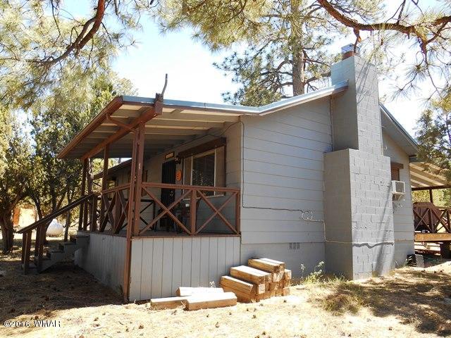 3314 Oxbow Bend Overgaard, AZ 85933 - Photo 6 of 40