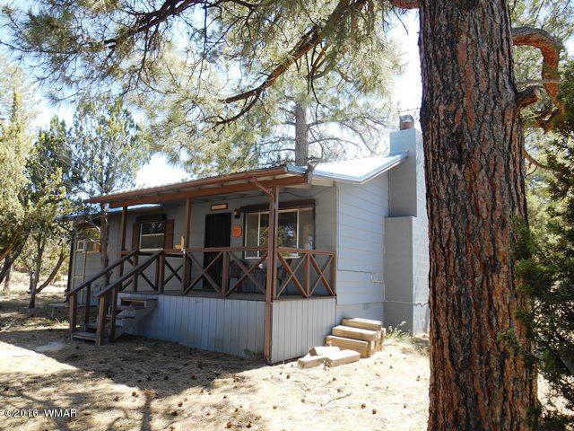 3314 Oxbow Bend Overgaard, AZ 85933 - Photo 9 of 40
