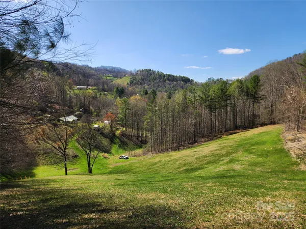 a view of a field with a tree