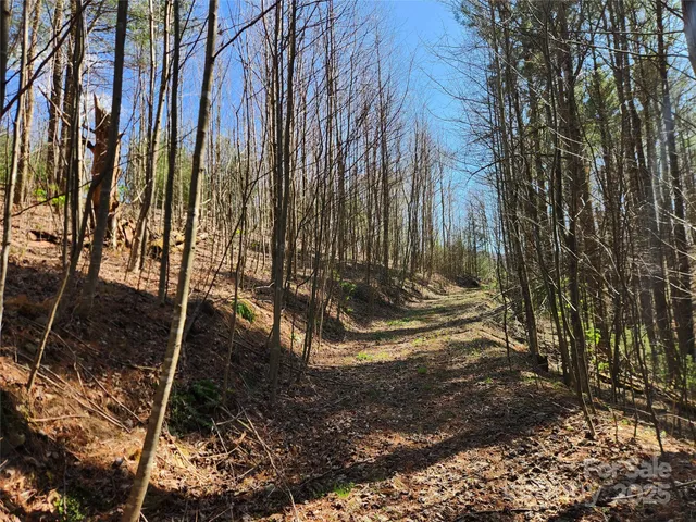 a view of a backyard of the house