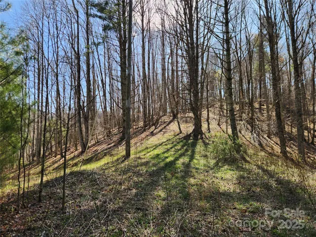 a view of covered with trees