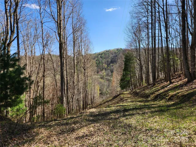 a view of a backyard of the house