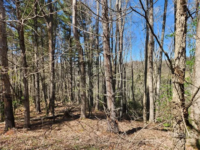 a view of a backyard of the house