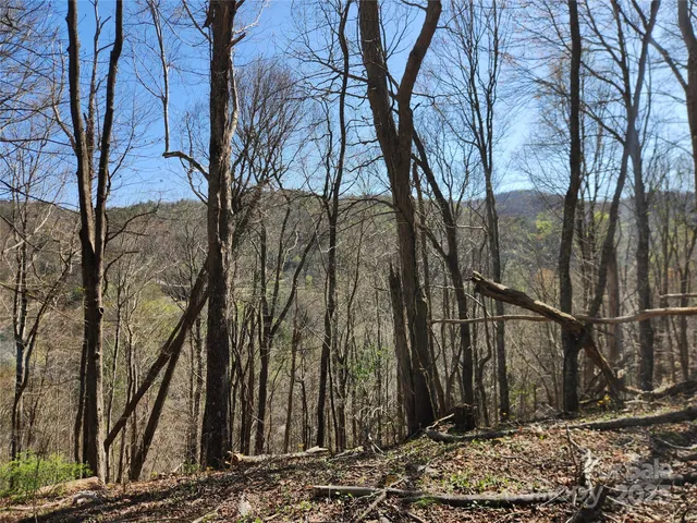 a view of a backyard of the house