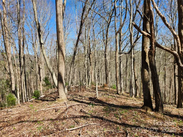 a view of statue on a city