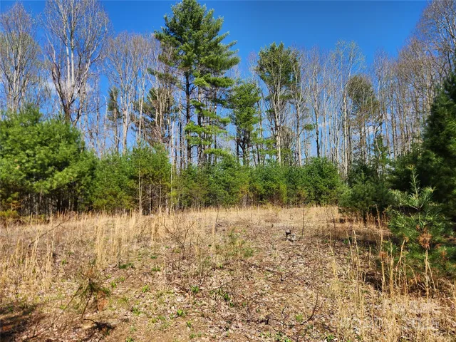 a view of a lake view