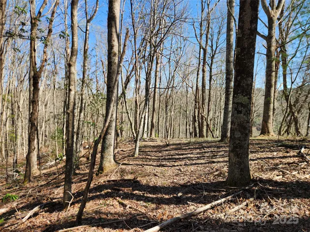 a view of a backyard of the house