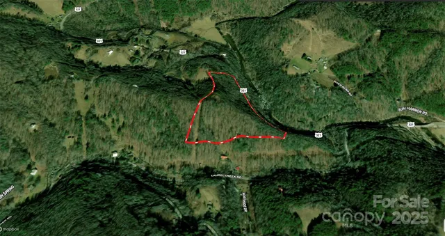 a view of flowers in a garden