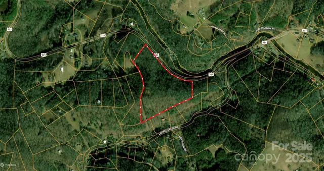 a close up of a plant in a garden