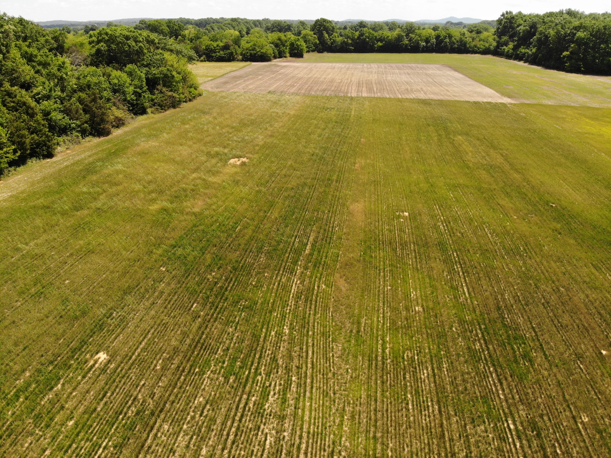 0 Shoemaker Road Eagleville, TN 37060 - Photo 14 of 17