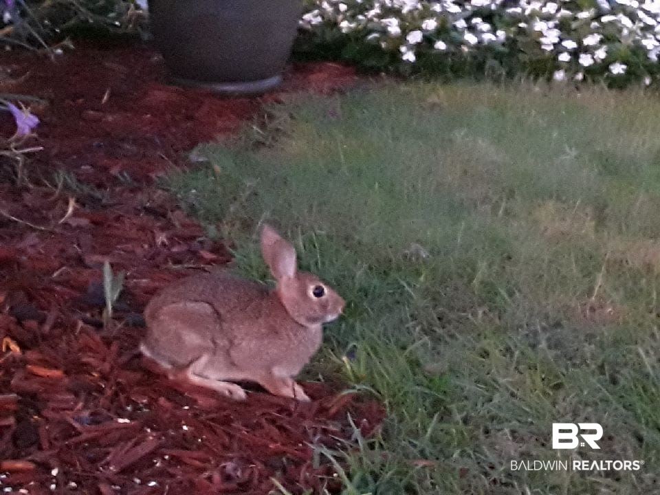 3200 Loop Road, Unit 56 Orange Beach, AL 36561 - Photo 9 of 26