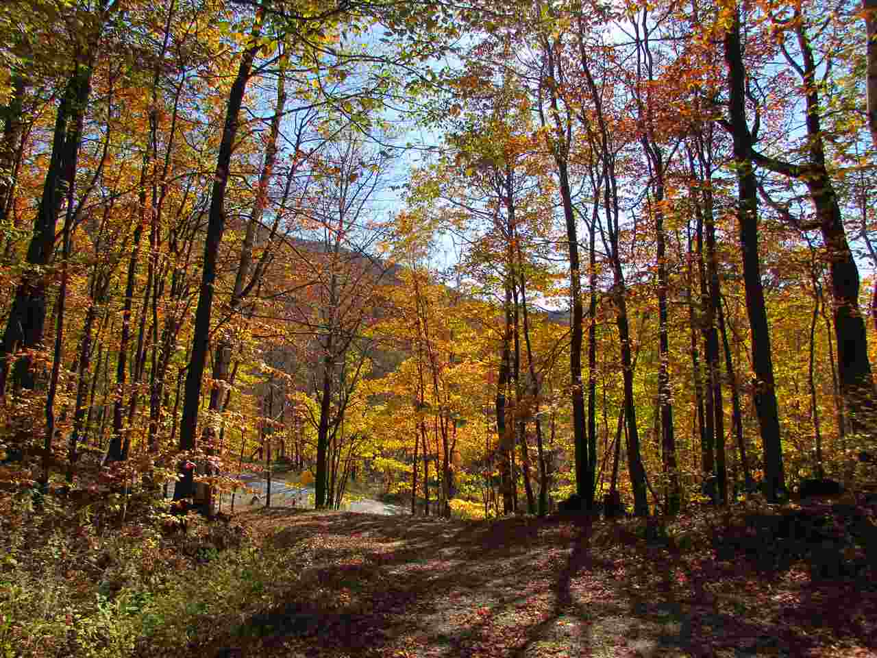 2498 Gap Road Goshen, VT 05733 - Photo 2 of 12