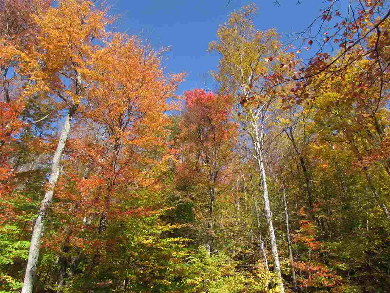2498 Gap Road Goshen, VT 05733 - Photo 3 of 12