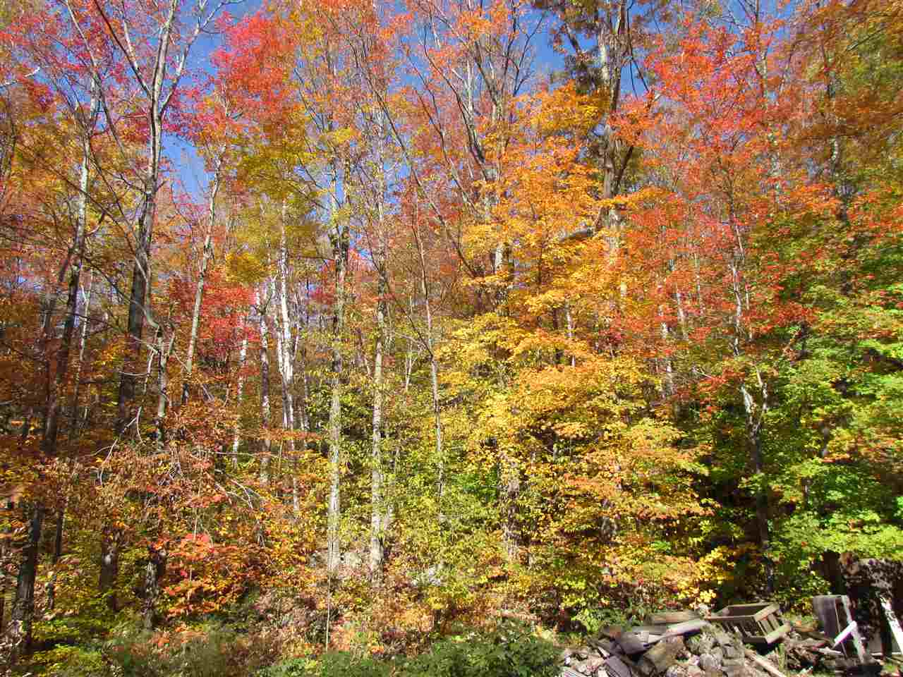 2498 Gap Road Goshen, VT 05733 - Photo 4 of 12