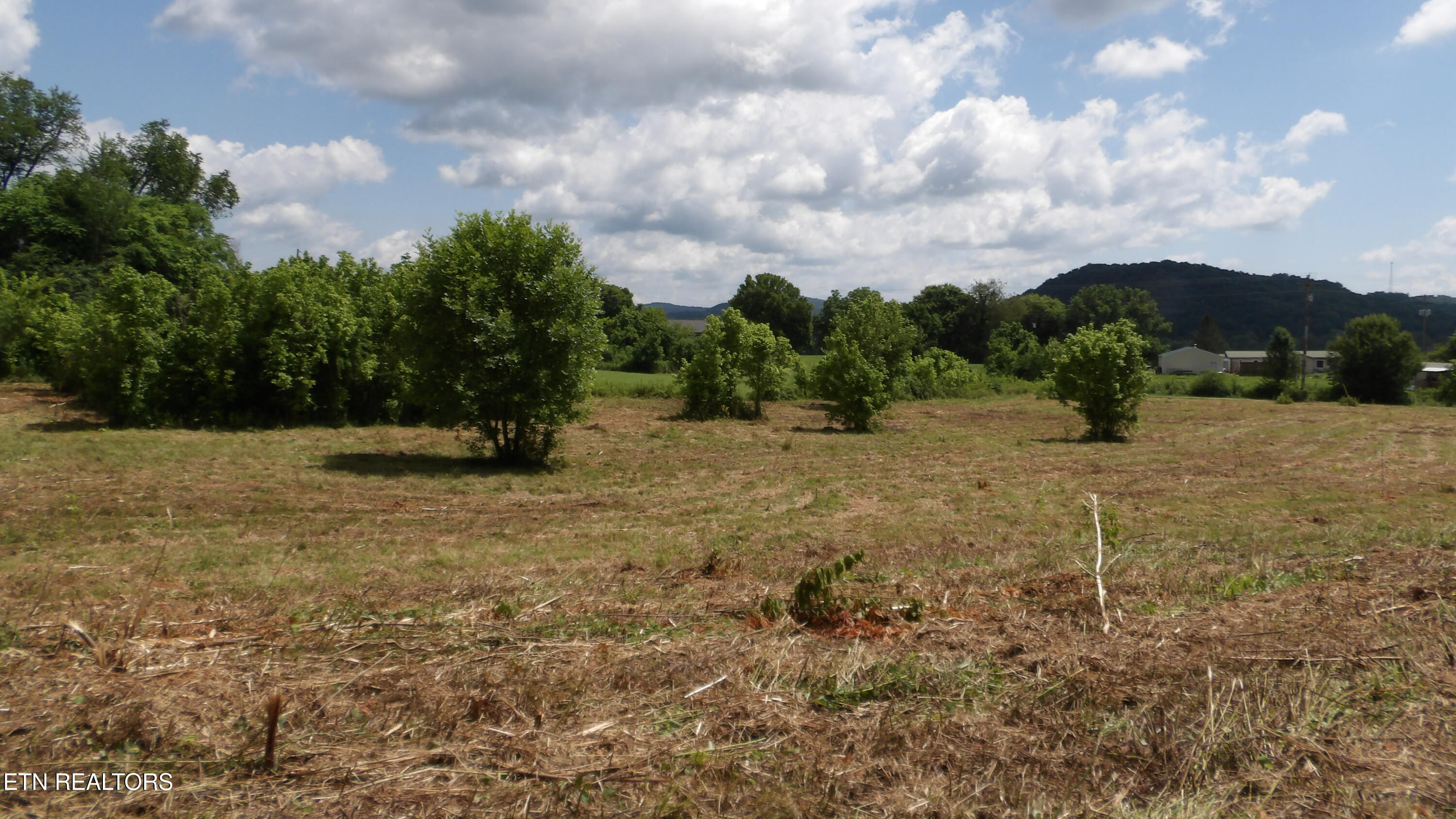 5.6-ac Lonnie Reecer Road Celina, TN 38551 - Photo 18 of 47 100_0050
