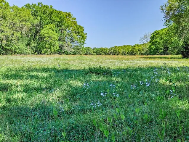 a view of an ocean and beach