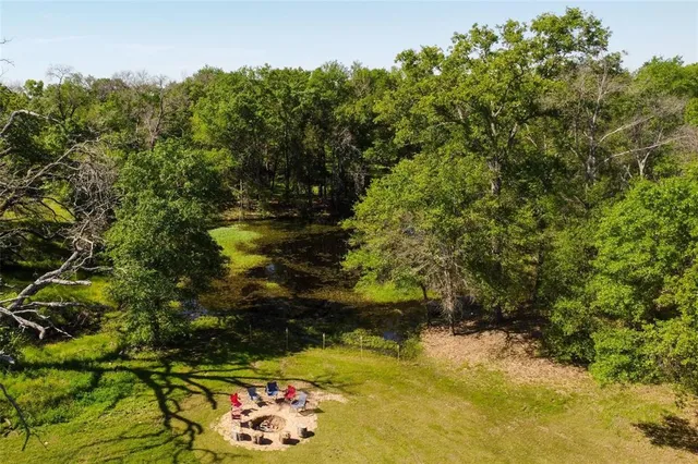 a view of a yard with a tree