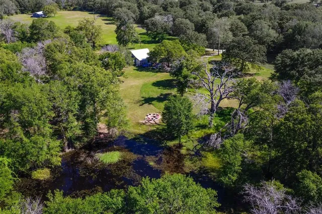 a view of a garden with plants
