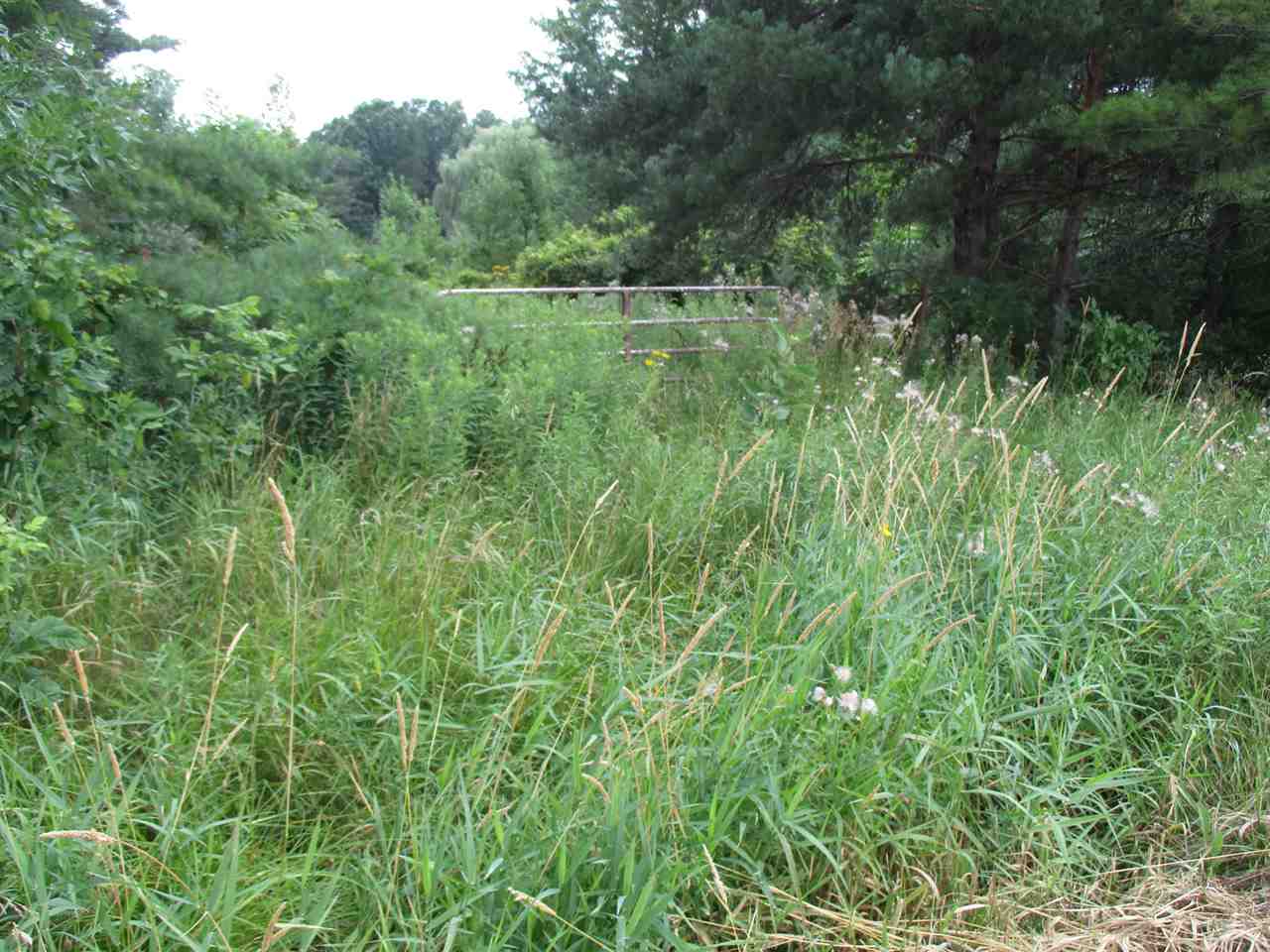 Parcel D North Byron Road Lennon, MI 48449 - Photo 6 of 9