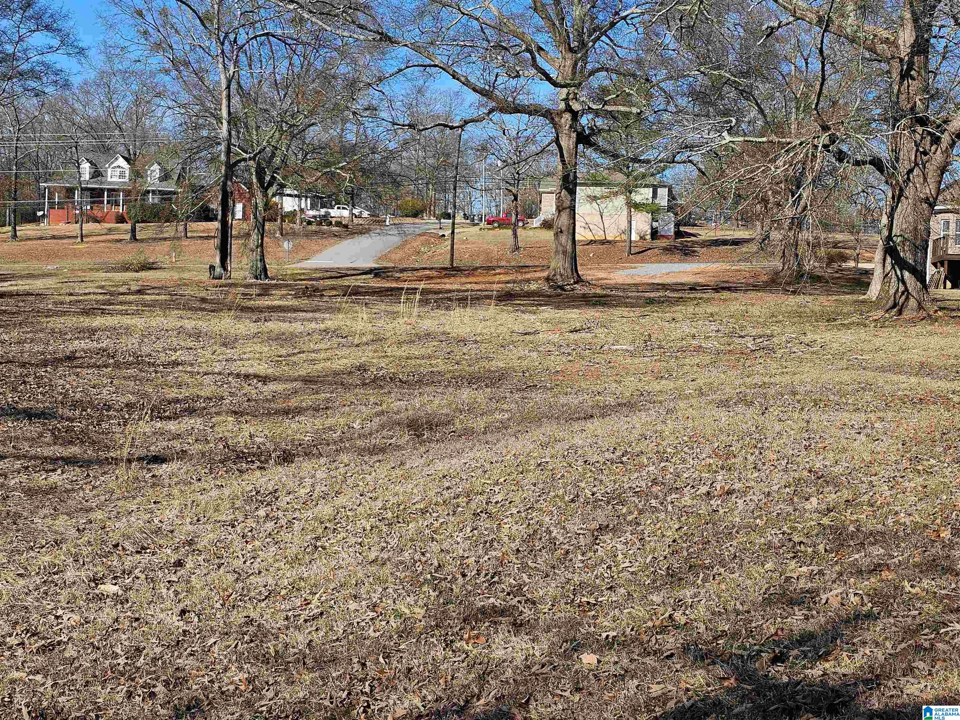 35 Eureka Road Lincoln, AL 35096 - Photo 3 of 11