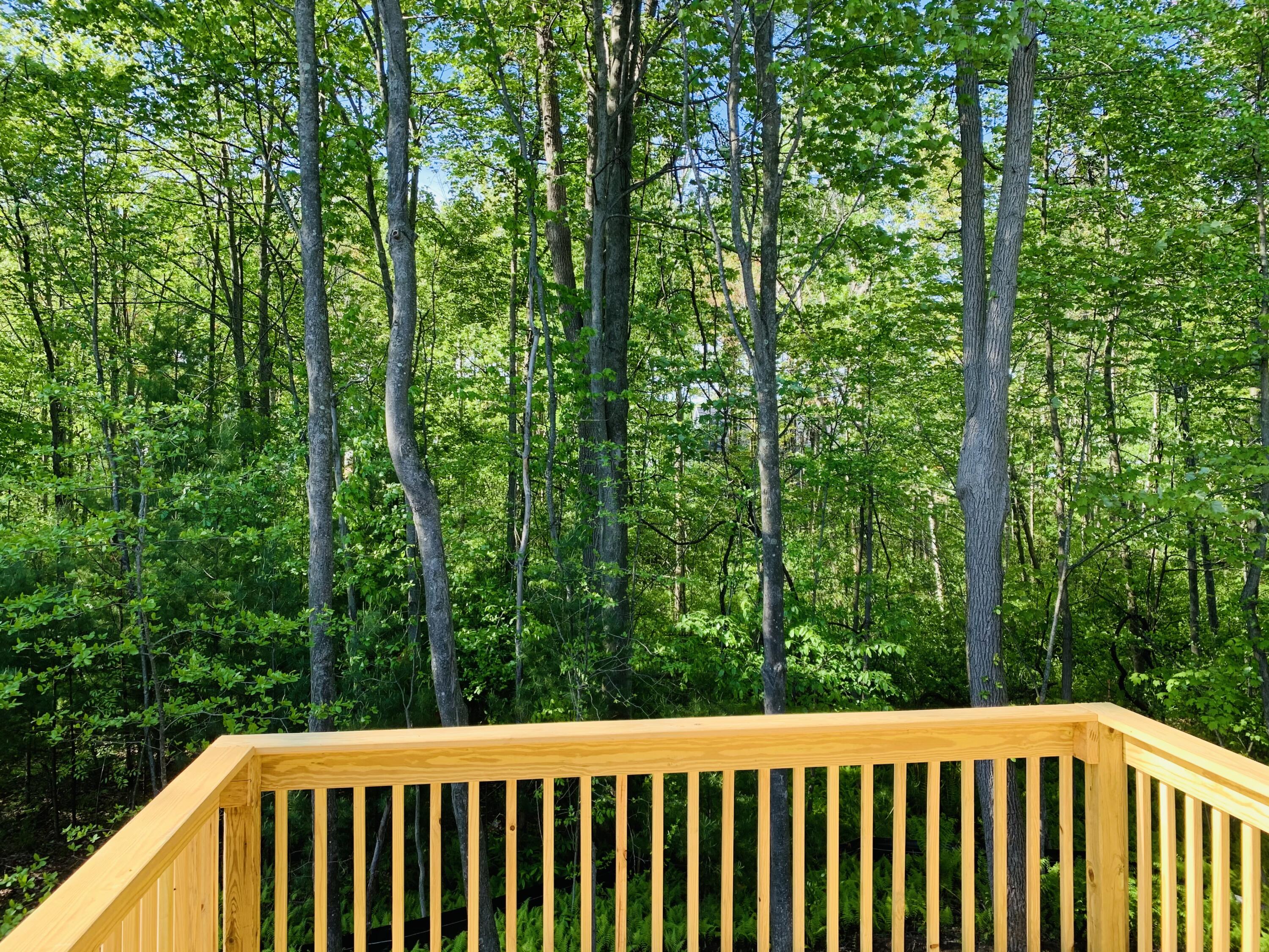 16510 Van Wagoner Road, Unit 46 Spring Lake, MI 49456 - Photo 5 of 6 IMG_E9572