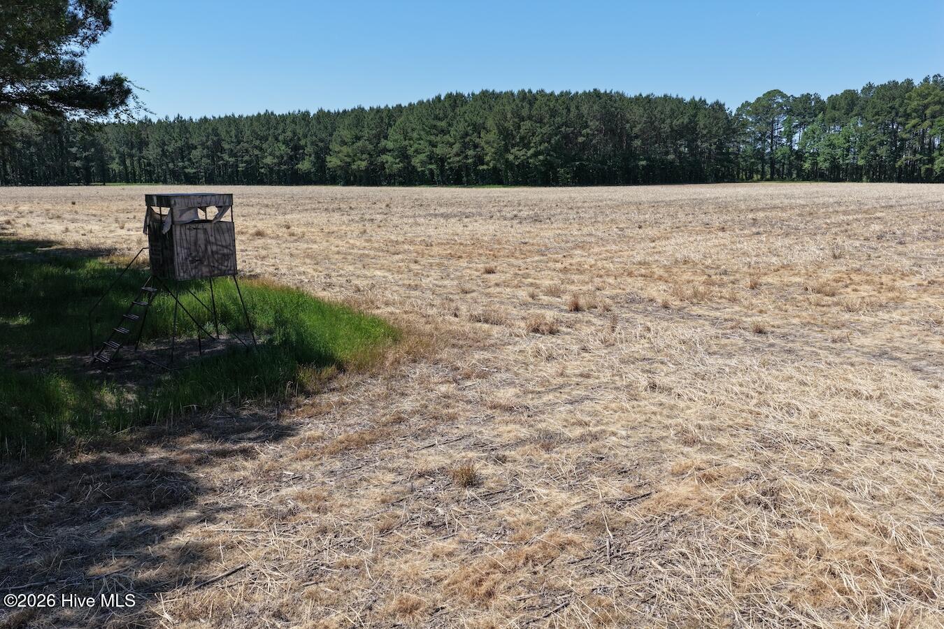 0 Kirkman Road Robersonville, NC 27871 - Photo 17 of 31 23