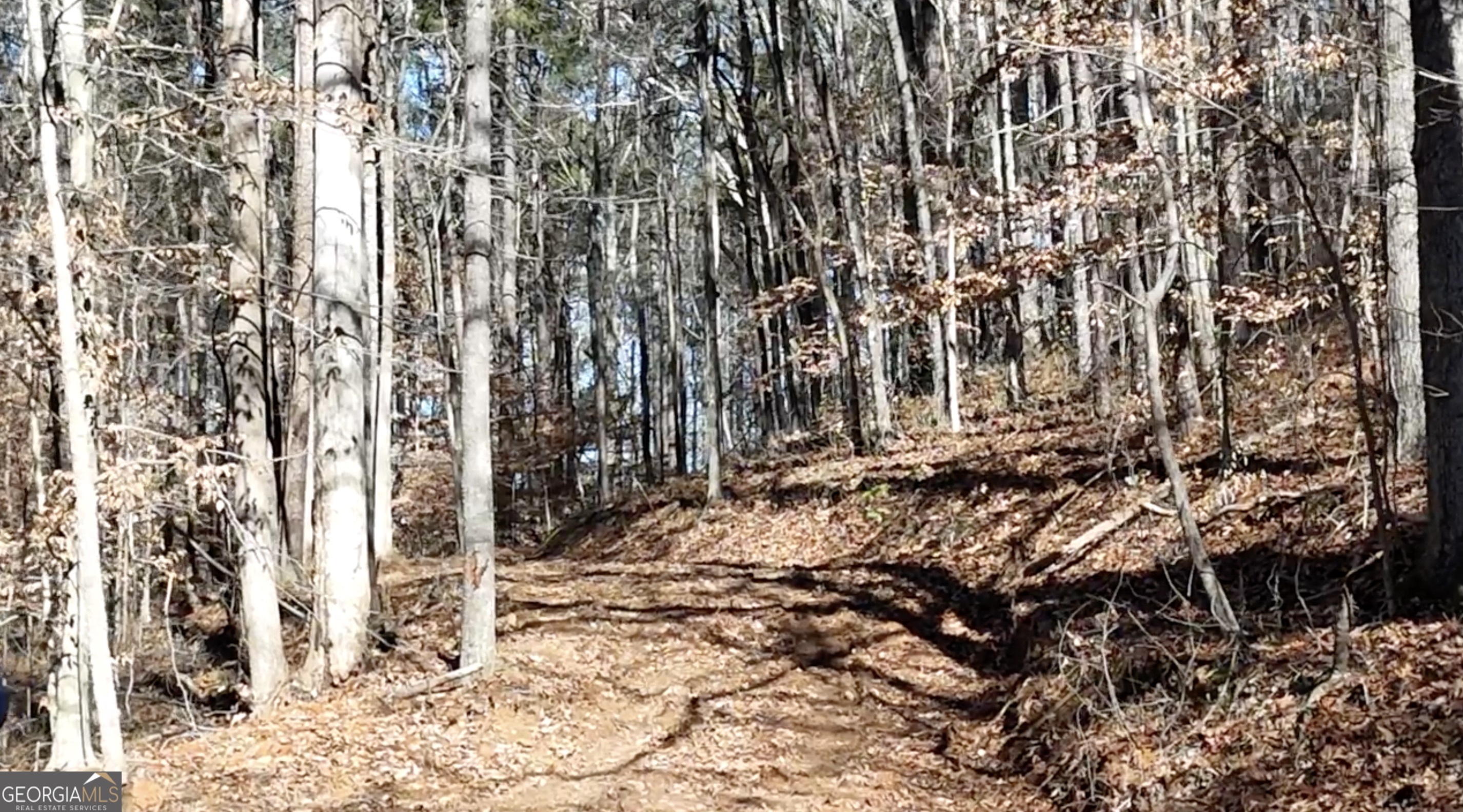 6137 Little Ridge Road, Unit LOT #3 Acworth, GA 30102 - Photo 11 of 39