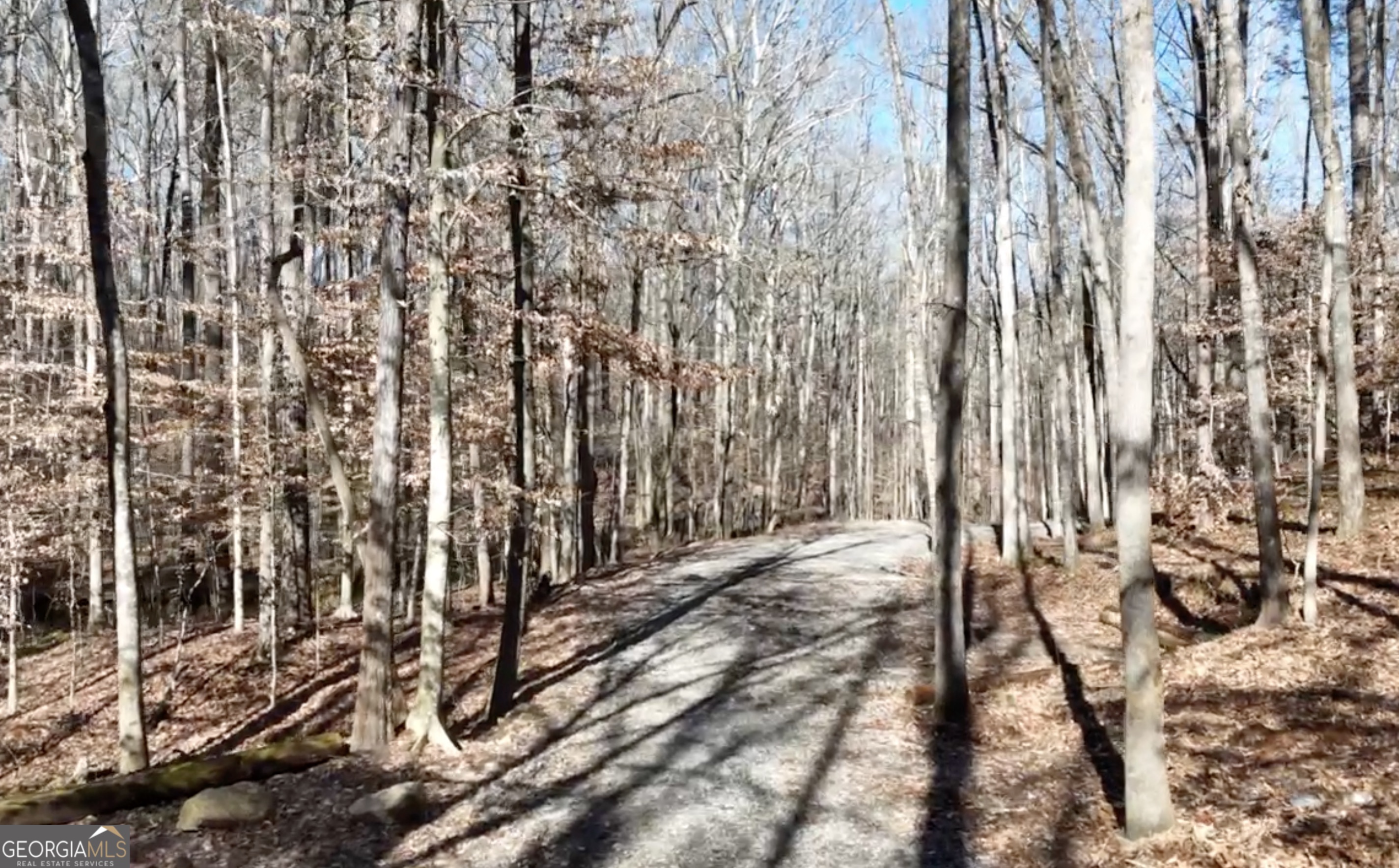 6137 Little Ridge Road, Unit LOT #3 Acworth, GA 30102 - Photo 28 of 39