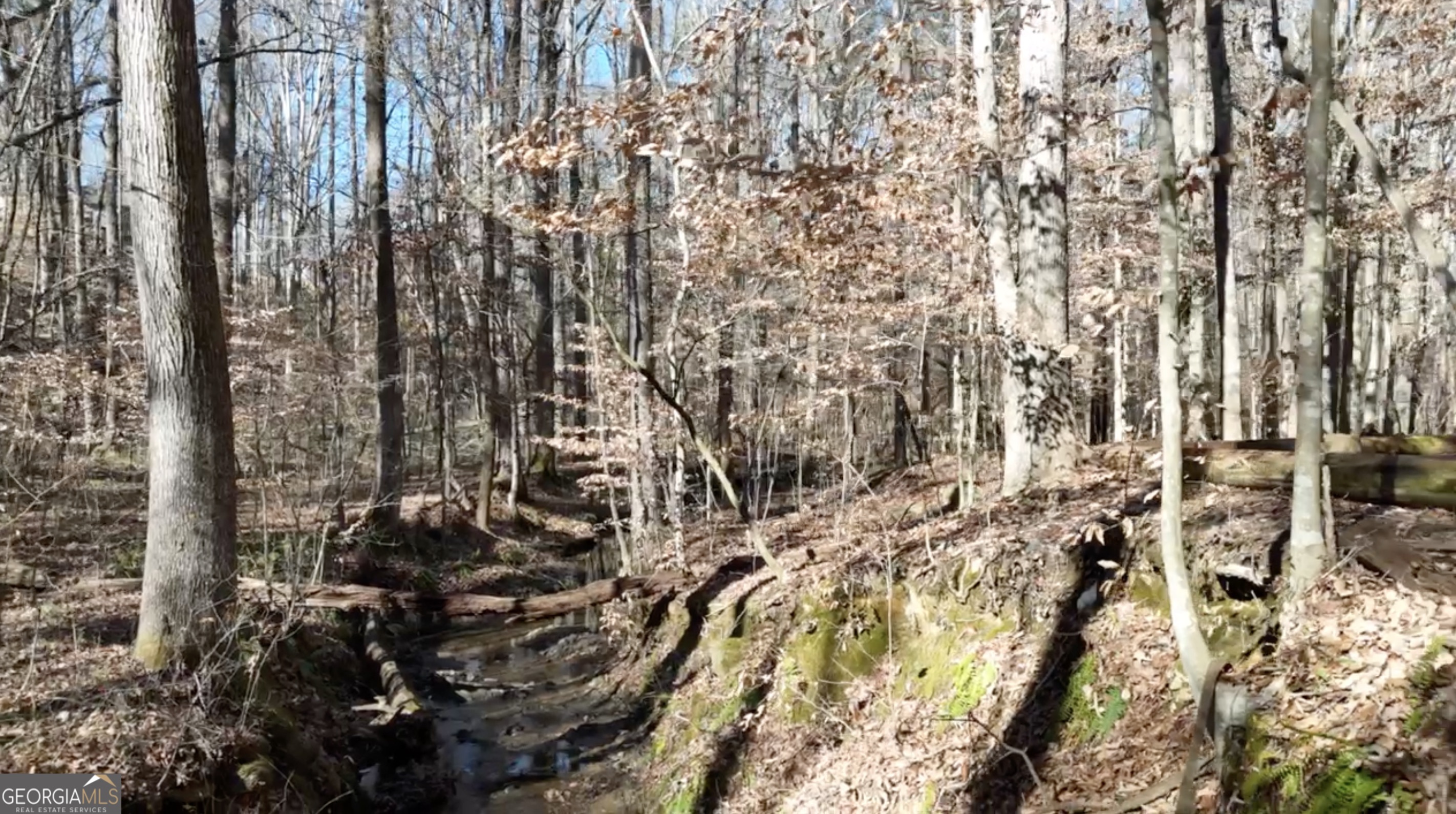 6137 Little Ridge Road, Unit LOT #3 Acworth, GA 30102 - Photo 30 of 39