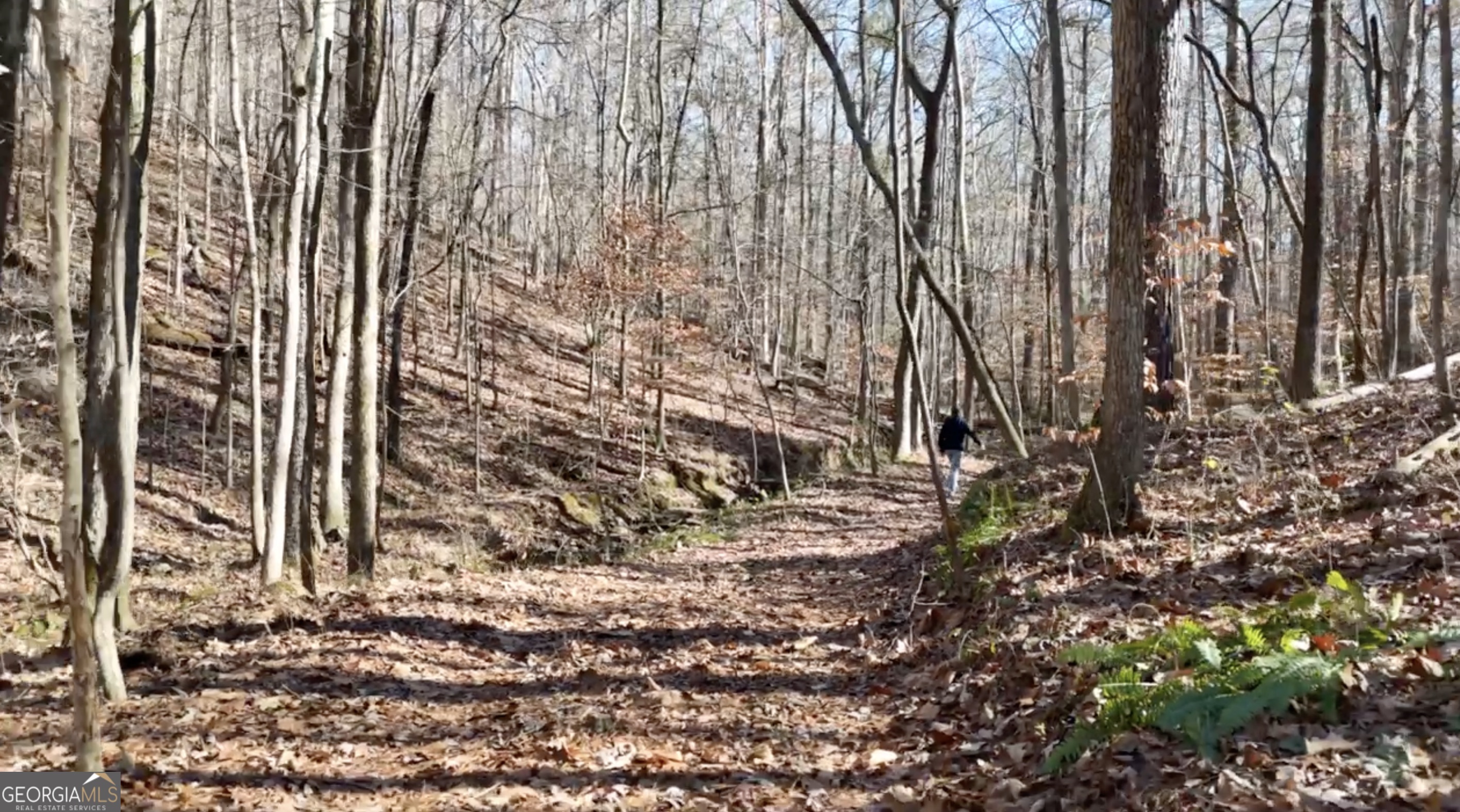 6137 Little Ridge Road, Unit LOT #3 Acworth, GA 30102 - Photo 31 of 39