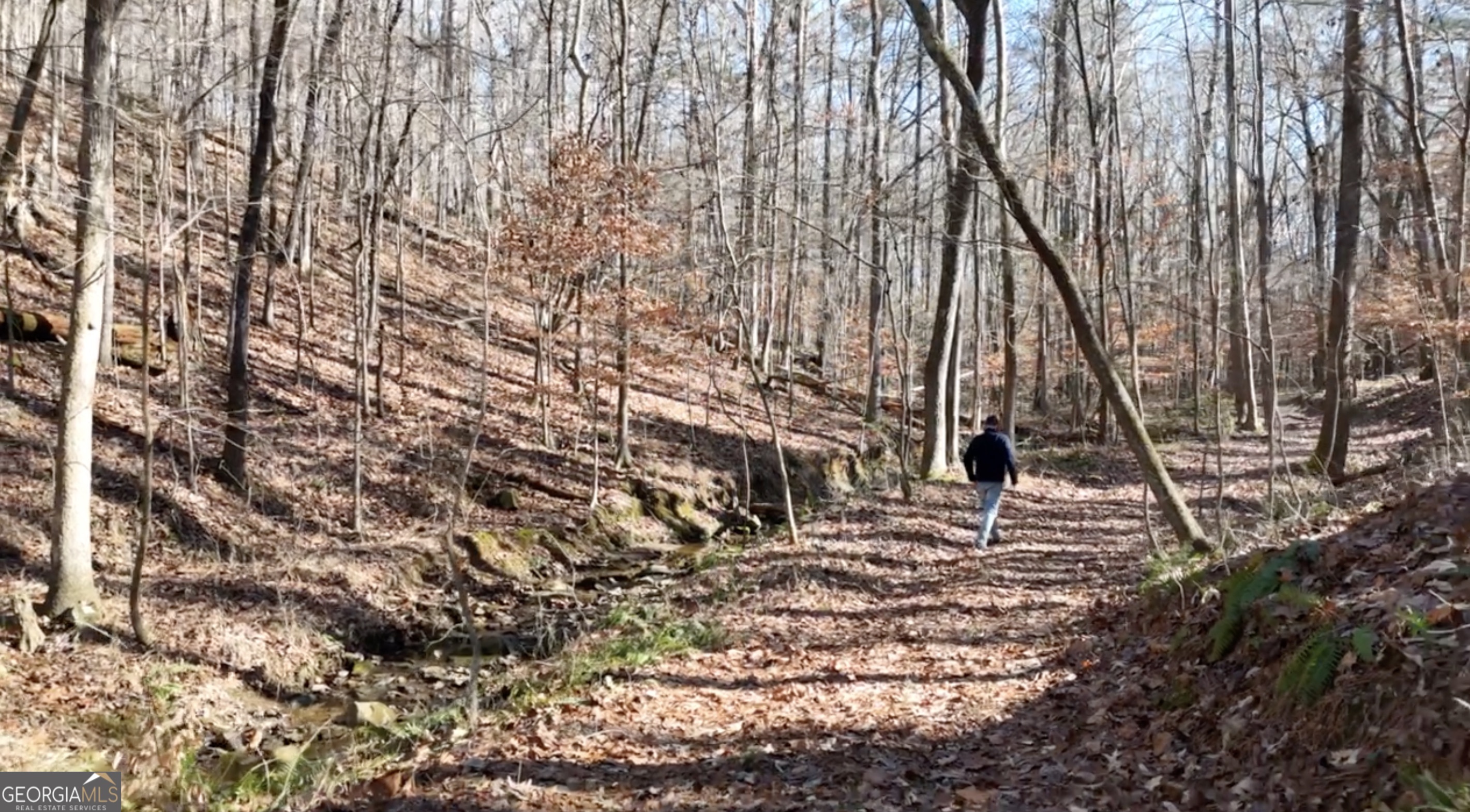 6137 Little Ridge Road, Unit LOT #3 Acworth, GA 30102 - Photo 32 of 39