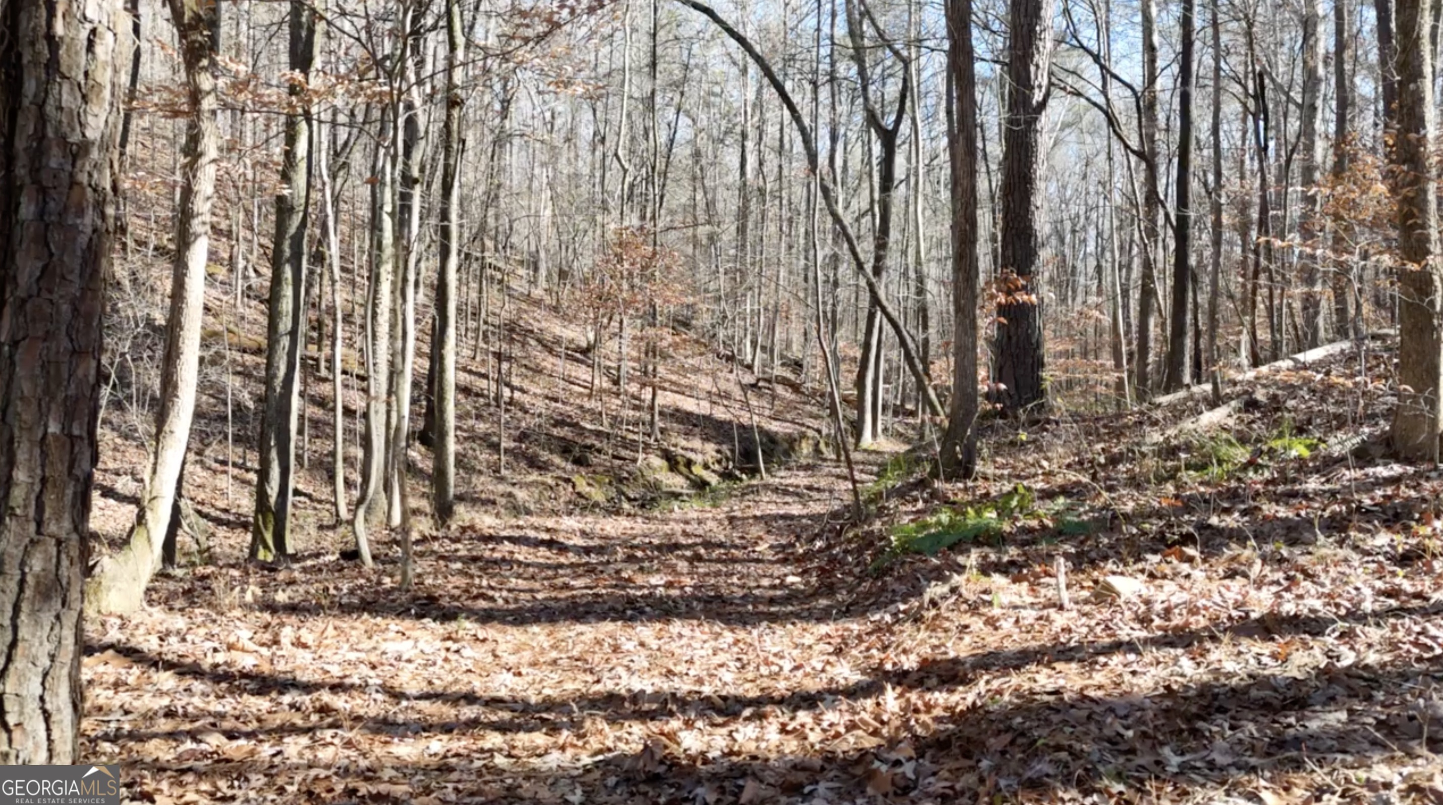 6137 Little Ridge Road, Unit LOT #3 Acworth, GA 30102 - Photo 33 of 39