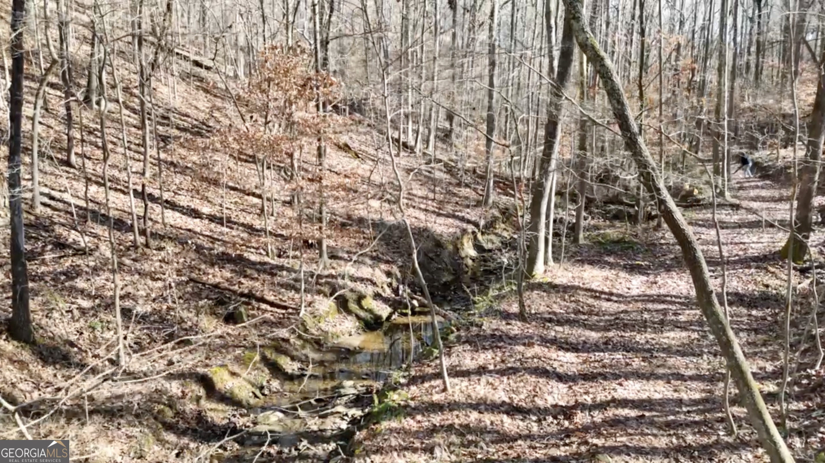 6137 Little Ridge Road, Unit LOT #3 Acworth, GA 30102 - Photo 35 of 39