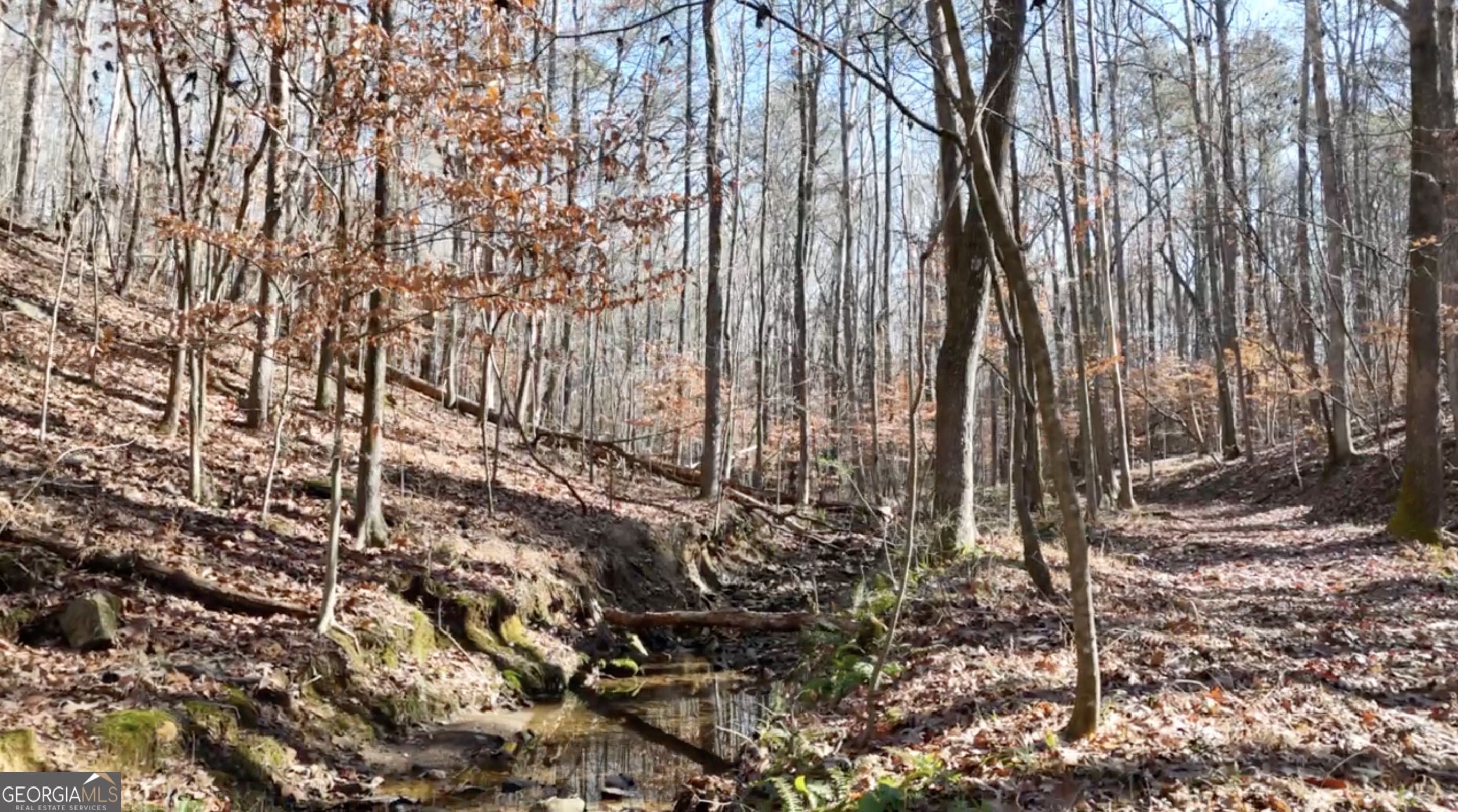 6137 Little Ridge Road, Unit LOT #3 Acworth, GA 30102 - Photo 36 of 39