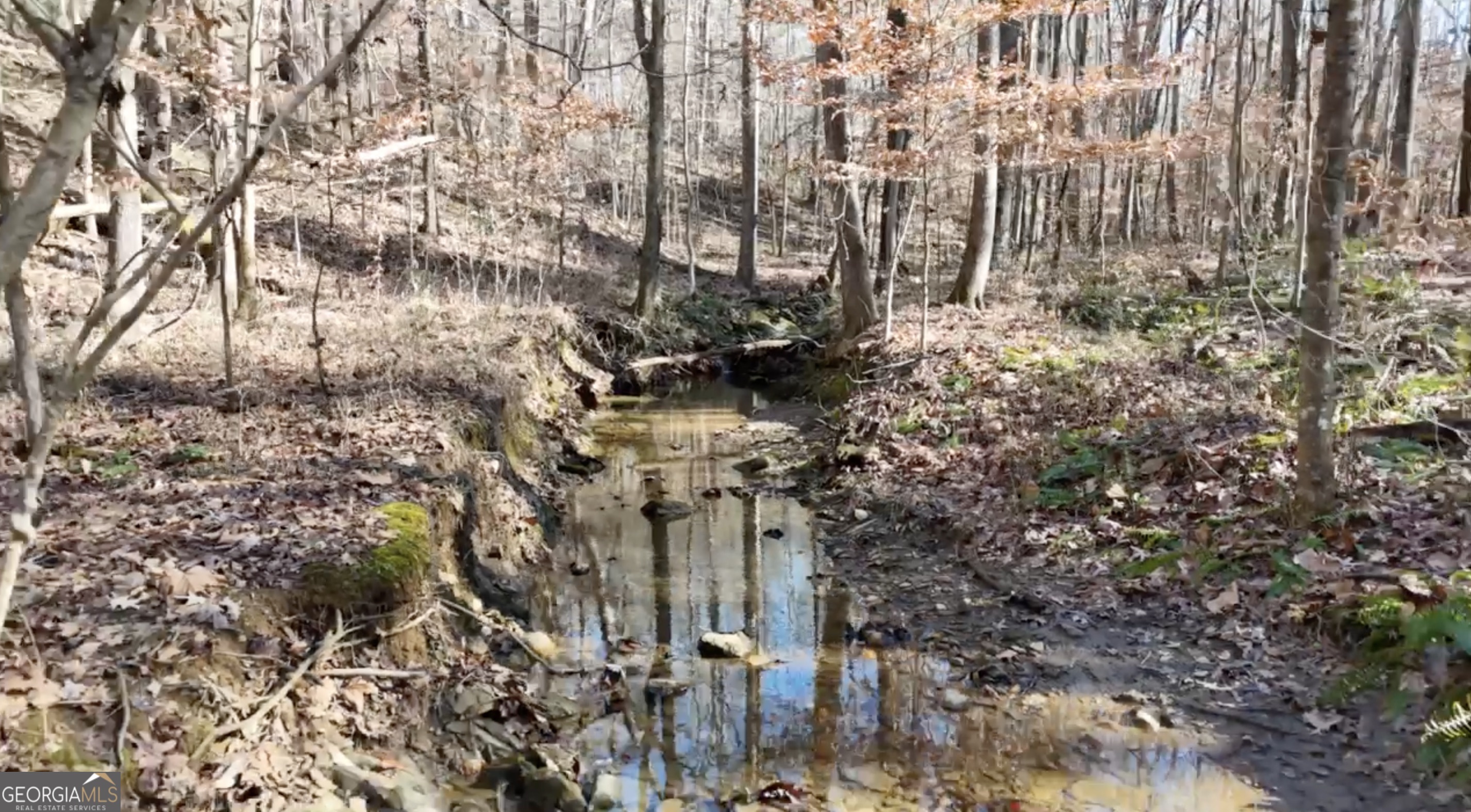 6137 Little Ridge Road, Unit LOT #3 Acworth, GA 30102 - Photo 6 of 39