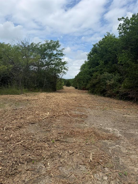 Tbd McKnight Road Ferris, TX 75125 - Photo 4 of 26