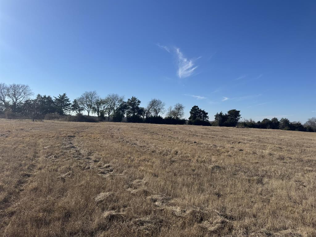 8 Fm 2675 Roxton, TX 75477 - Photo 5 of 7 a view of lake