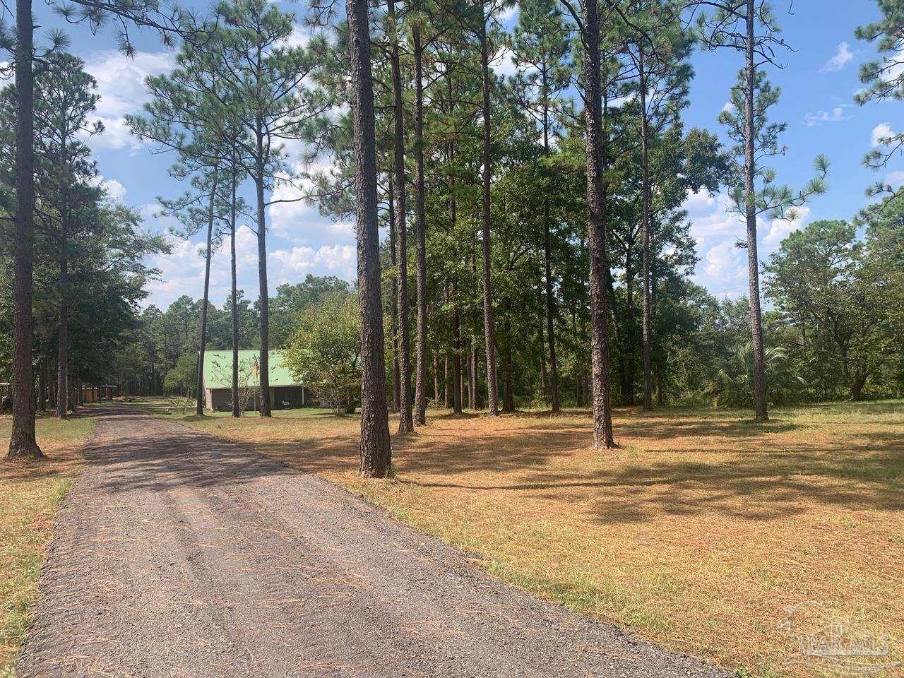 3717 Wilder Road Cantonment, FL 32533 - Photo 3 of 47 Gallery Image 3