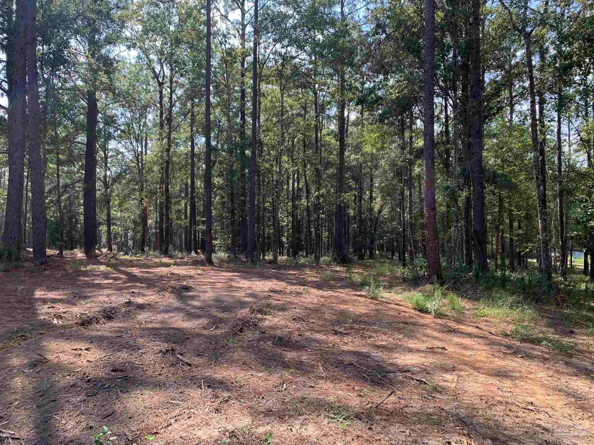 3717 Wilder Road Cantonment, FL 32533 - Photo 46 of 47 Gallery Image 46