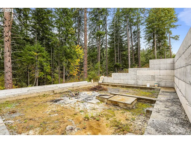 a view of a yard with trees